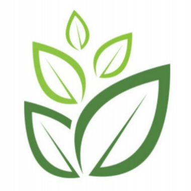 NaturesGift Wellness Logo