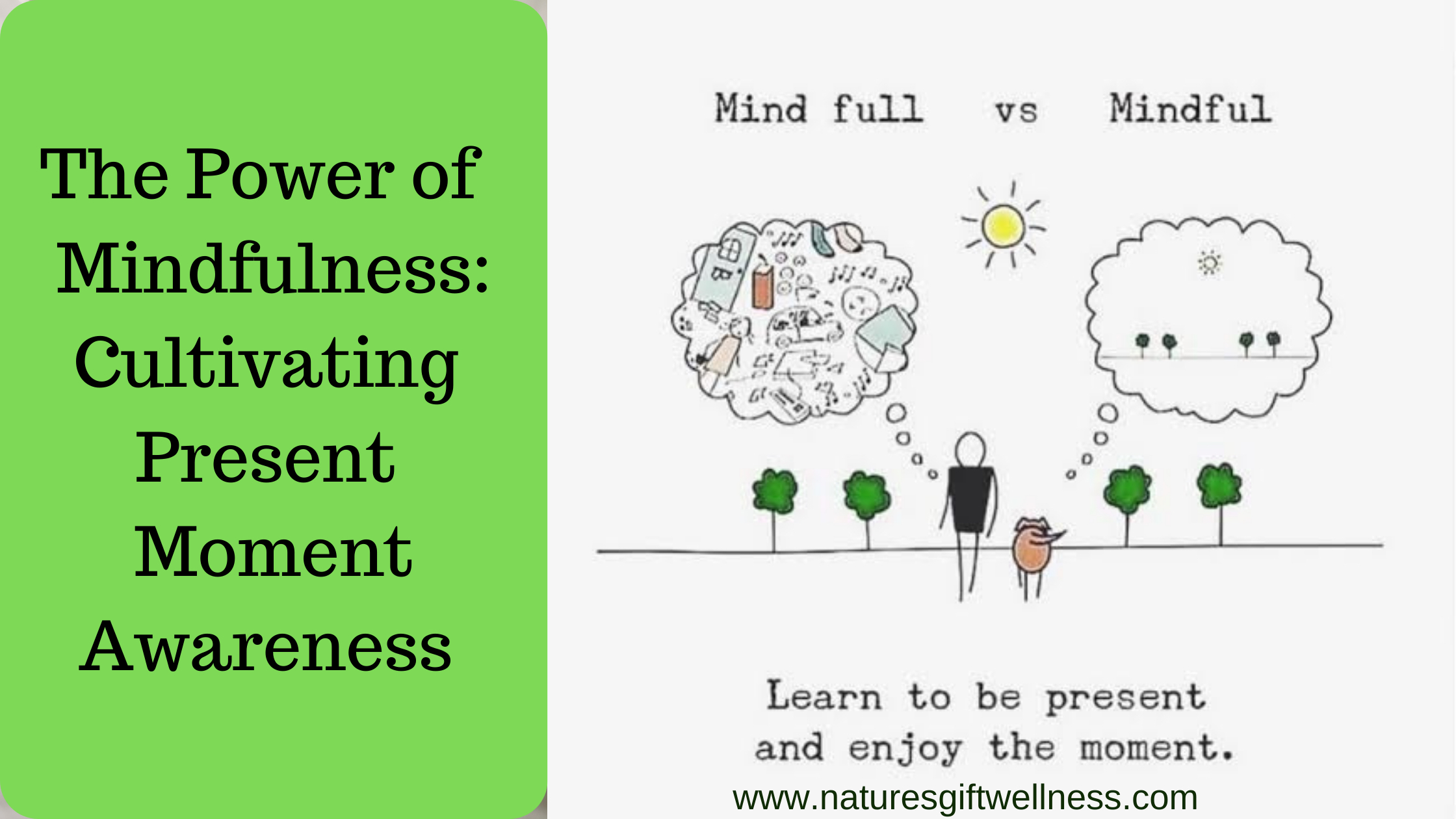 The Power of Mindfulness: Cultivating Present-Moment Awareness